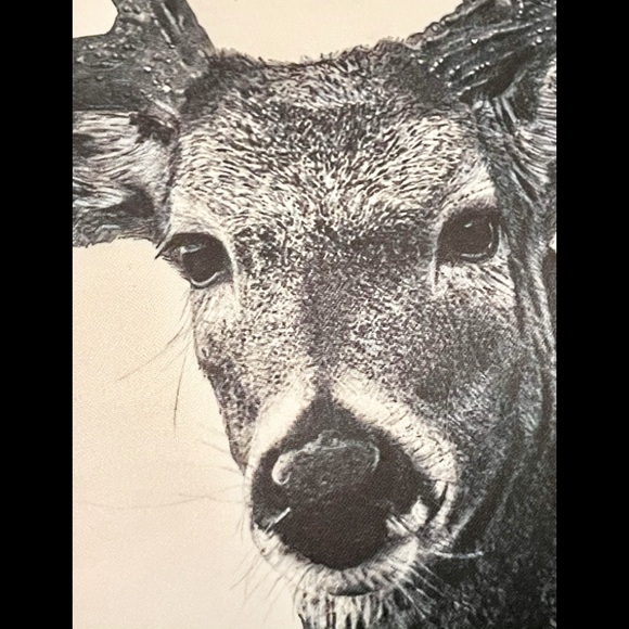 Magnificent Stag throw pillow! - Picture 2 of 6